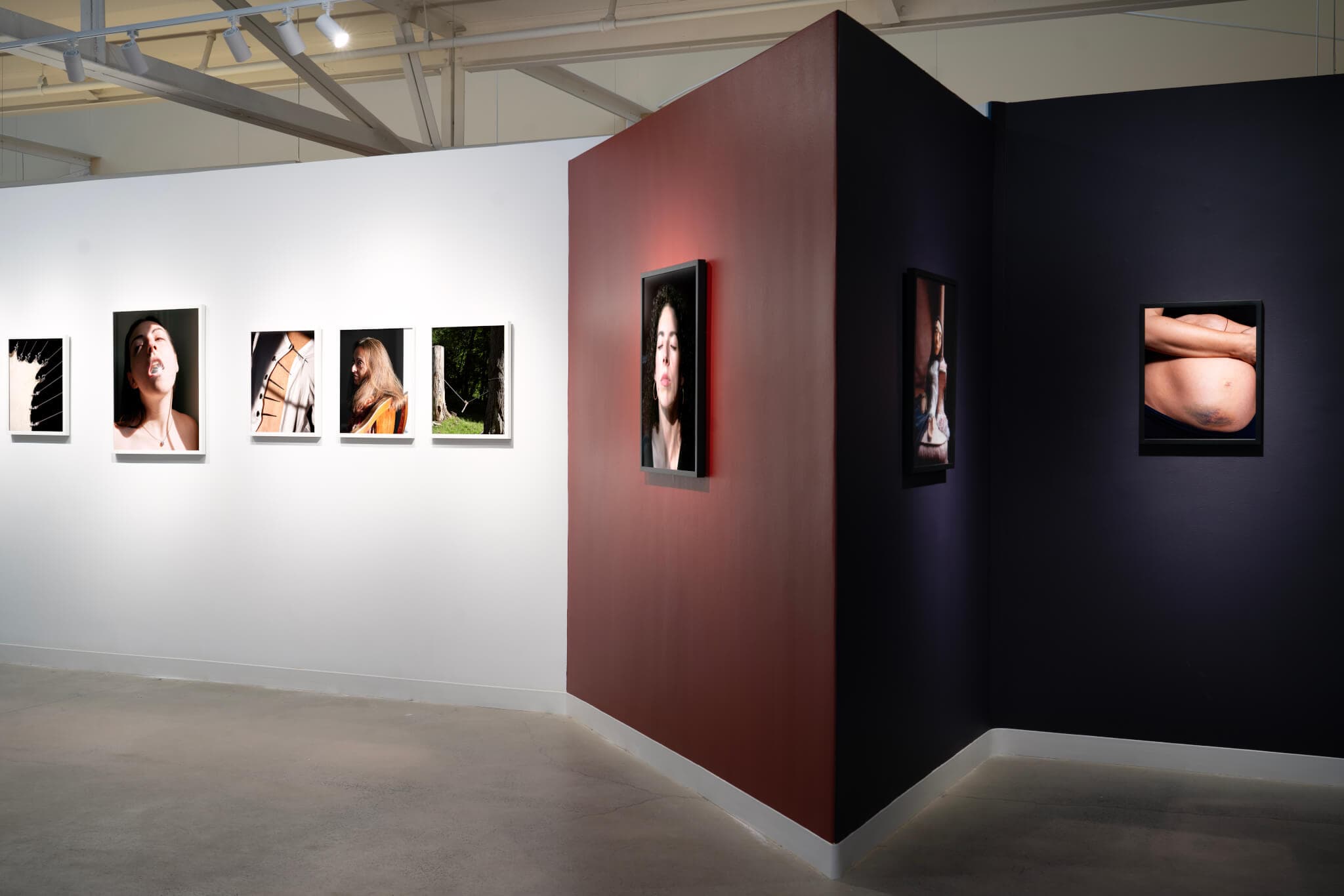 Portraits hang on white, red, and purple gallery walls.